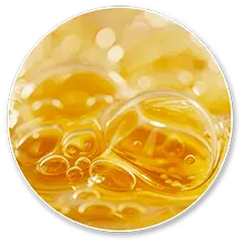 carbofire official Alpha Lipoic Acid ingredient