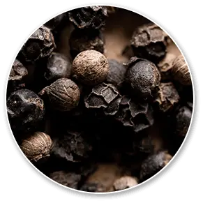 carbofire official Bioperine ingredient